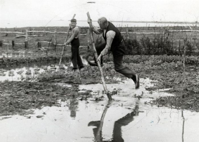 Old Photos of Netherlands. Part 2 (148 pics)