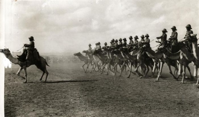 Old Photos of Netherlands. Part 2 (148 pics)