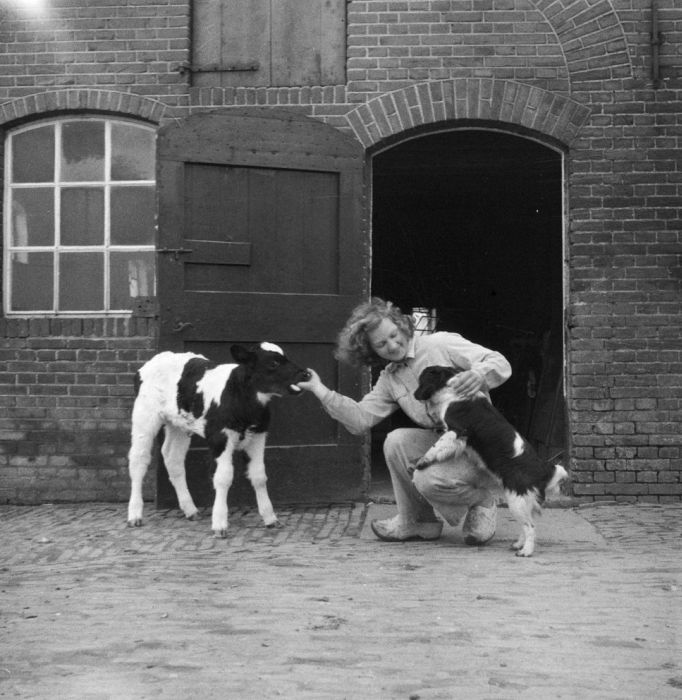 Old Photos of Netherlands. Part 2 (148 pics)