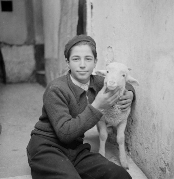 Old Photos of Netherlands. Part 2 (148 pics)