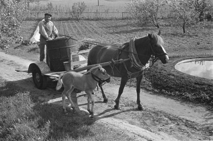 Old Photos of Netherlands. Part 2 (148 pics)