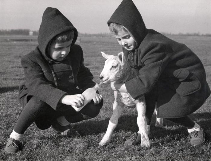 Old Photos of Netherlands. Part 2 (148 pics)