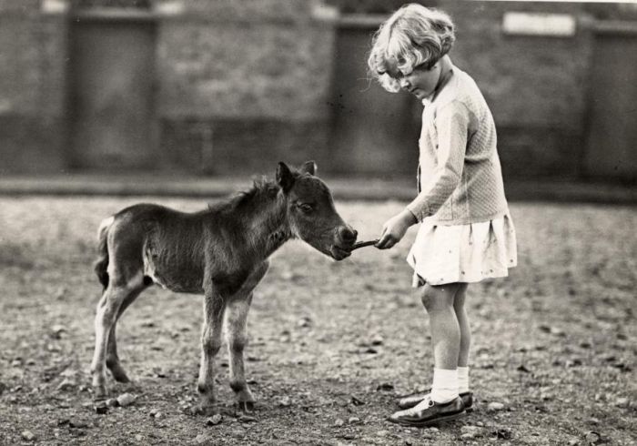 Old Photos of Netherlands. Part 2 (148 pics)