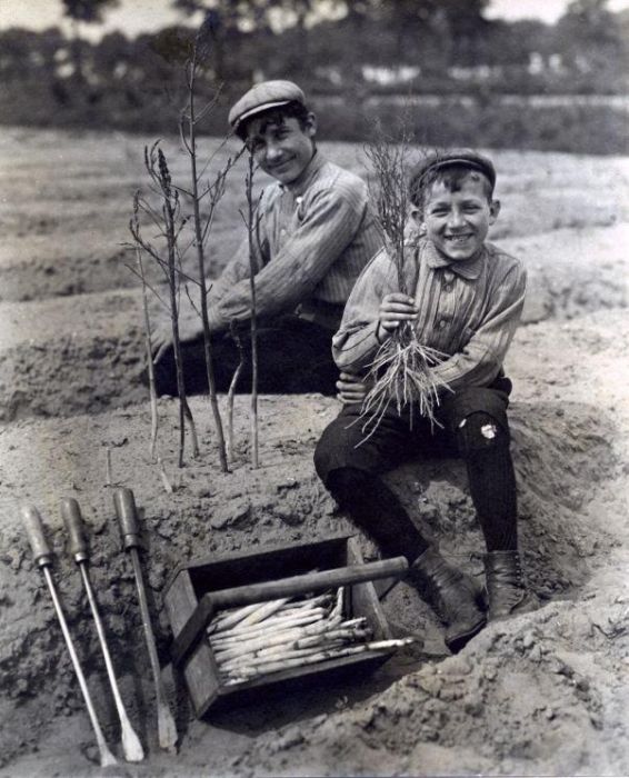 Old Photos of Netherlands. Part 2 (148 pics)