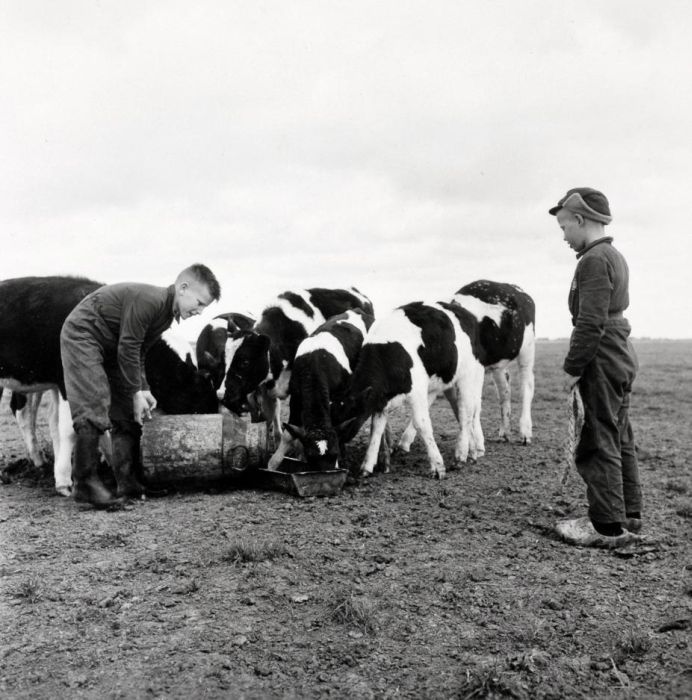 Old Photos of Netherlands. Part 2 (148 pics)