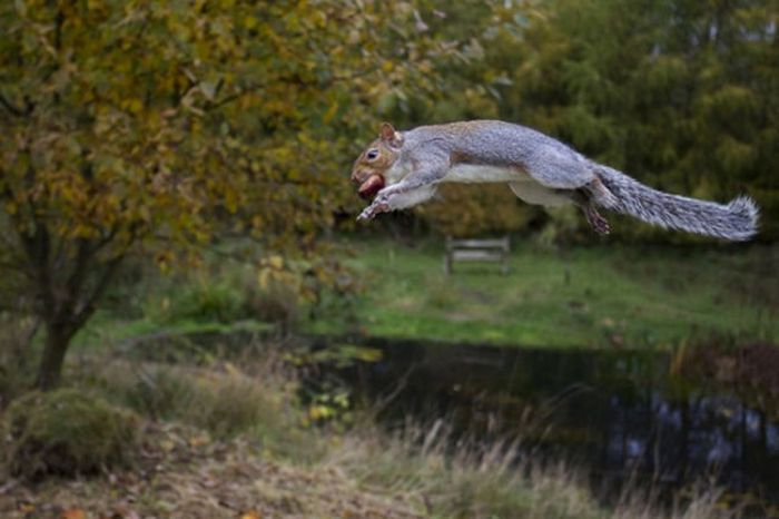 2011 Best Wildlife Photos (33 pics)