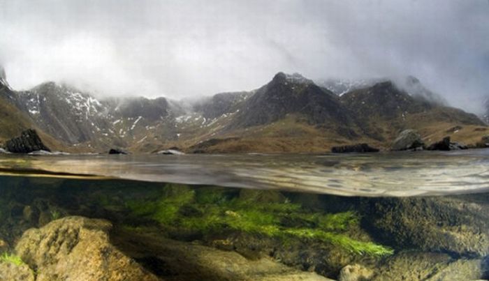 2011 Best Wildlife Photos (33 pics)