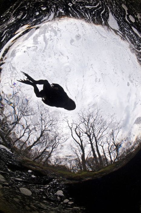 2011 Best Wildlife Photos (33 pics)