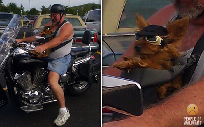 People of WalMart. Part 12 (46 pics)