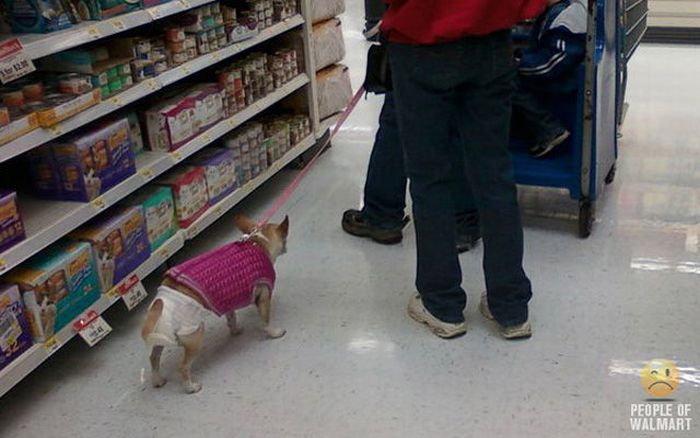 People of WalMart. Part 12 (46 pics)