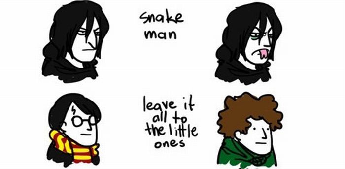 Lord of the Rings vs Harry Potter (9 pics)