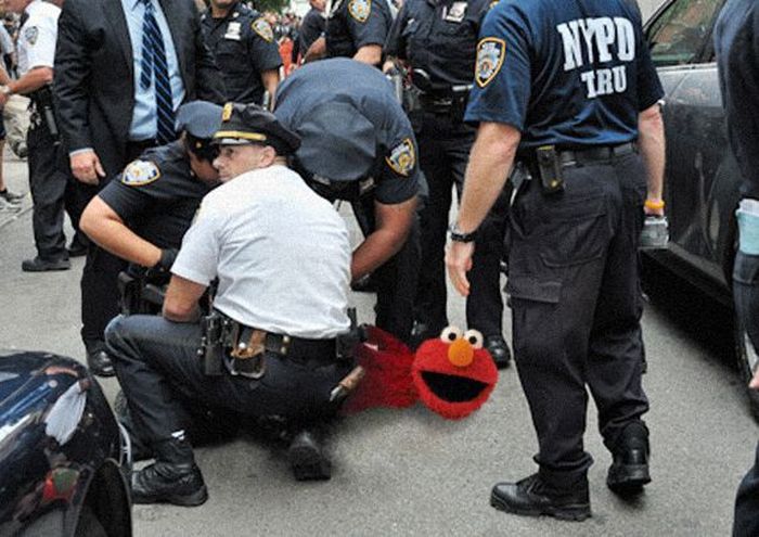 Occupy Wall Street Becomes Occupy Sesame Street (11 pics)