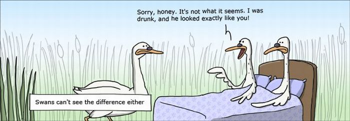 Wulff & Morgenthaler Comic Strips (60 pics)