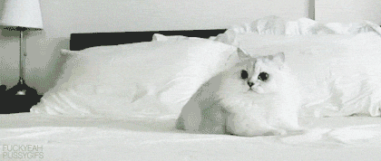 Acid Gifdump (10 gifs)