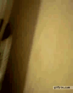 Acid Gifdump (10 gifs)