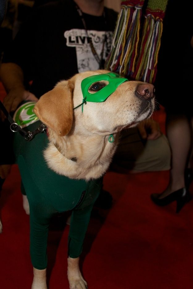 The Best Cosplay At NY Comic-Con 2011 (40 pics)