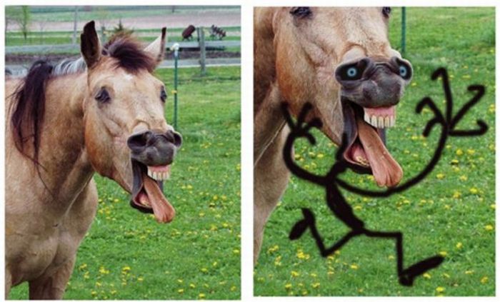 Once You See These Images You Can’t Go Back (35 pics)