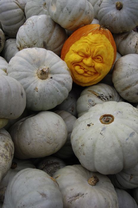 Awesome Creative Pumpkins (35 pics)