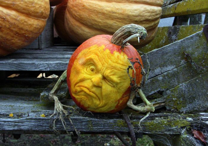 Awesome Creative Pumpkins (35 pics)