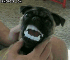 Acid Gifdump (10 gifs)