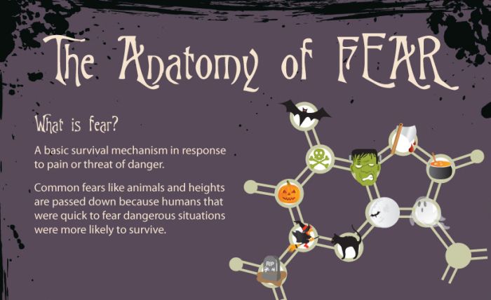 The Anatomy of Fear (infographic)