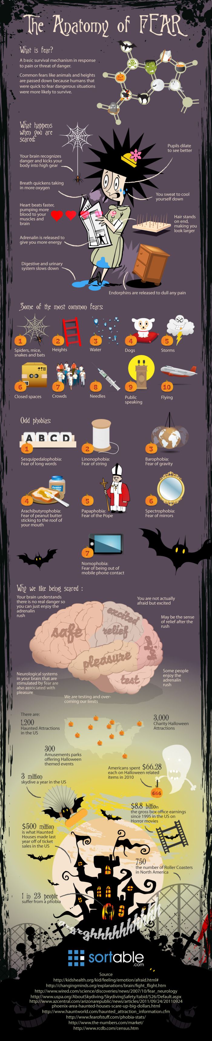 The Anatomy of Fear (infographic)