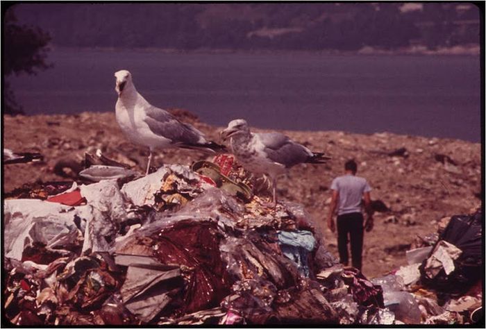 America in the 1970s (33 pics)