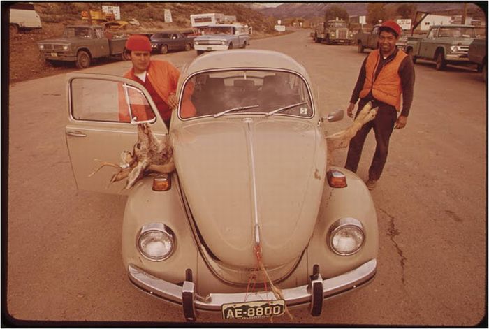 America in the 1970s (33 pics)