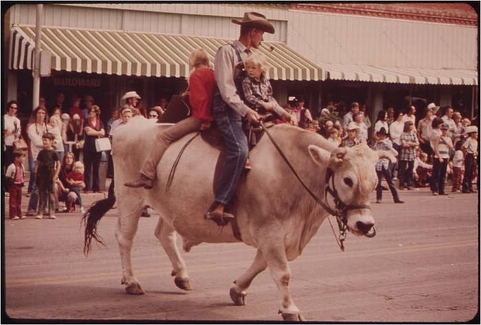 America in the 1970s (33 pics)