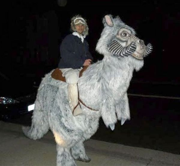 Halloween Costume Ideas. Part 2 (19 pics)