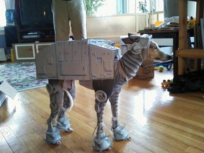 Halloween Costume Ideas. Part 2 (19 pics)