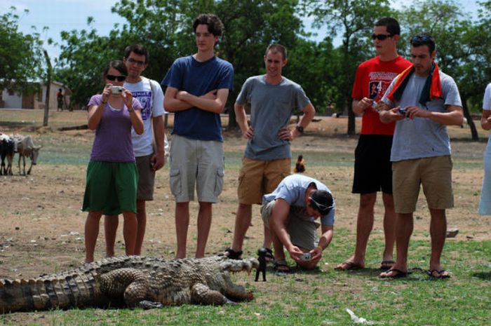 Paga Crocodile Pond in Ghana. For Brave Tourists Only (19 pics)