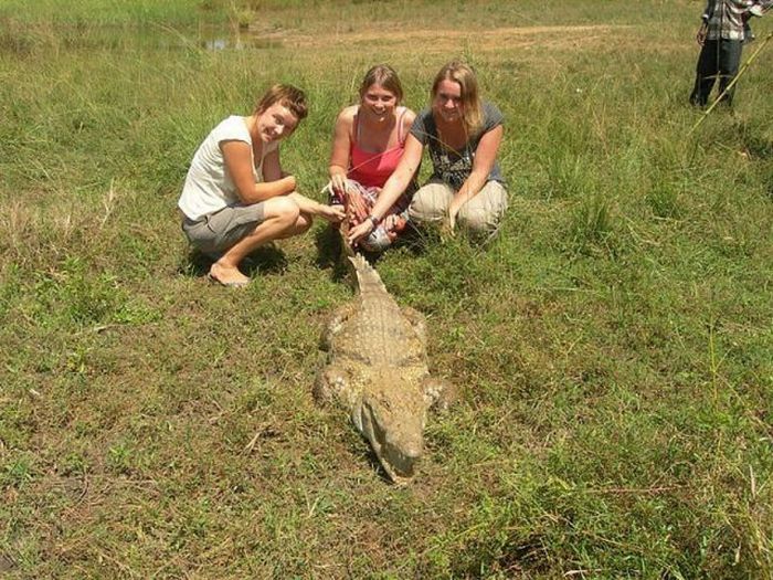 Paga Crocodile Pond in Ghana. For Brave Tourists Only (19 pics)