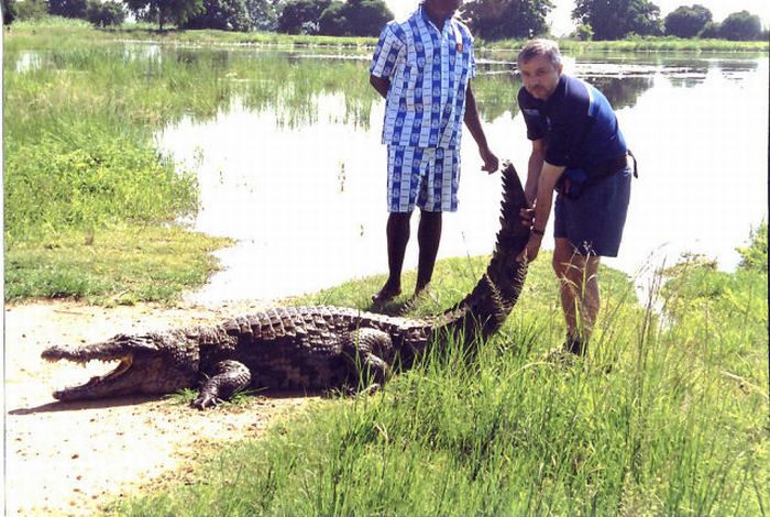 Paga Crocodile Pond in Ghana. For Brave Tourists Only (19 pics)