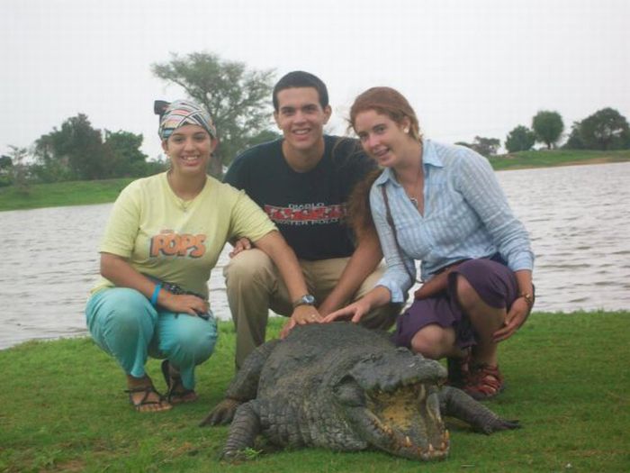 Paga Crocodile Pond in Ghana. For Brave Tourists Only (19 pics)