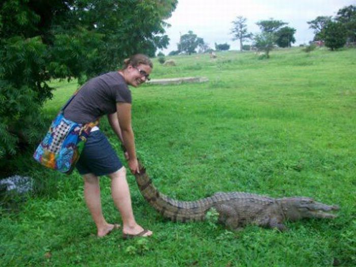 Paga Crocodile Pond in Ghana. For Brave Tourists Only (19 pics)