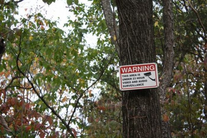 Strange and Funny Warning Signs (29 pics)