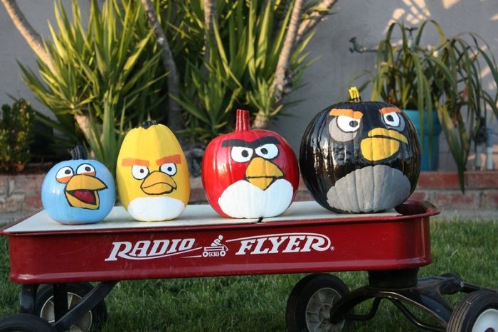 Angry Birds in the Yard (7 pics)