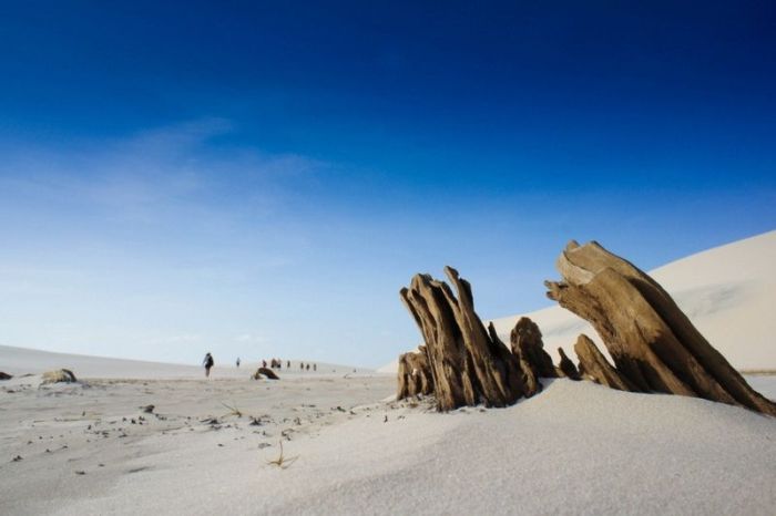 Lençóis Maranhenses National Park (42 pics)