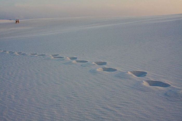 Lençóis Maranhenses National Park (42 pics)