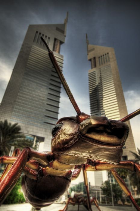 Beautiful Photography from Dubai, UAE (93 pics)