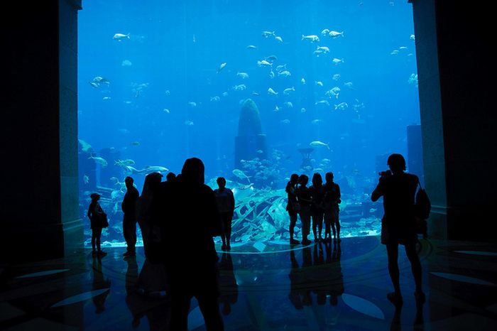 Beautiful Photography from Dubai, UAE (93 pics)