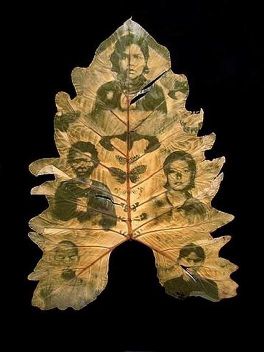 Photos on Leaves (14 pics)