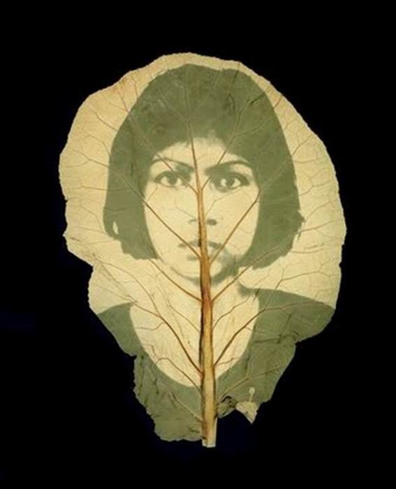 Photos on Leaves (14 pics)