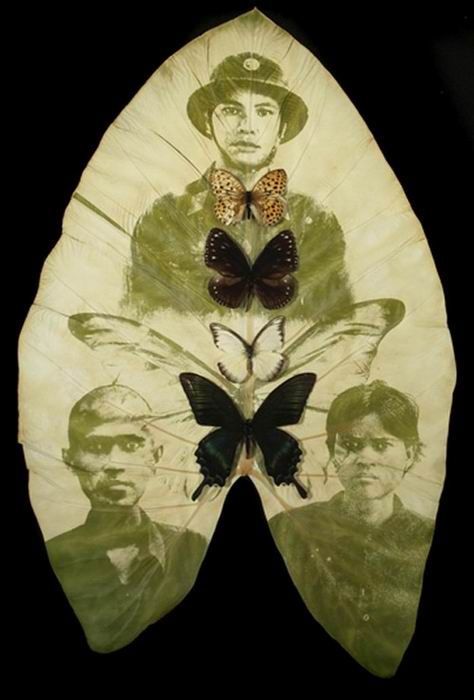 Photos on Leaves (14 pics)