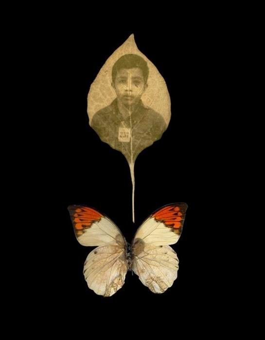 Photos on Leaves (14 pics)