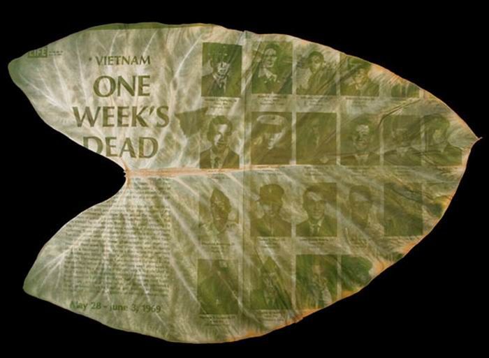 Photos on Leaves (14 pics)