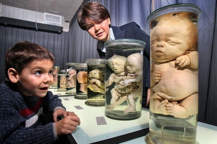 Inexplicable Photos From Russia (32 pics)