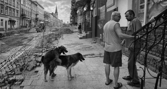 Inexplicable Photos From Russia (32 pics)