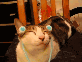 Acid Gifdump (10 gifs)